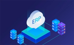 [CONSULTING] ERP软件实施及咨询